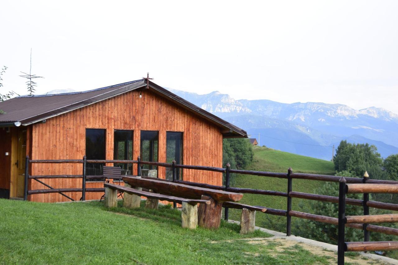 Cabana Colnic Hotel Măgura Buitenkant foto