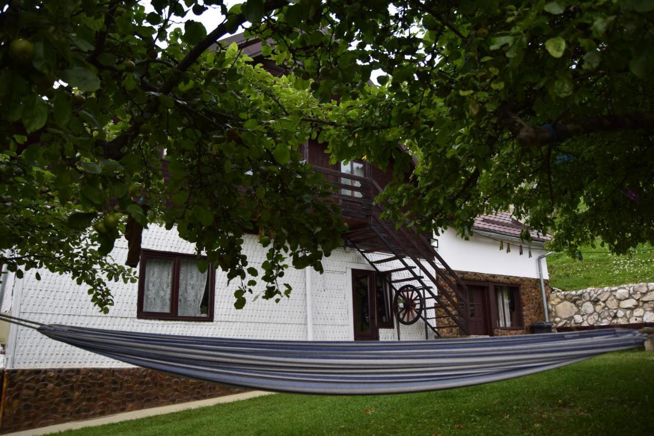 Cabana Colnic Hotel Măgura Buitenkant foto