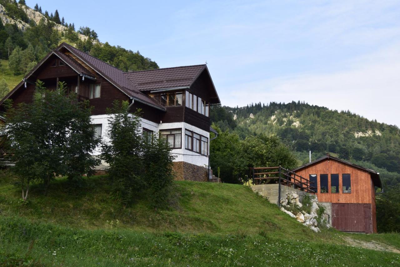 Cabana Colnic Hotel Măgura Buitenkant foto