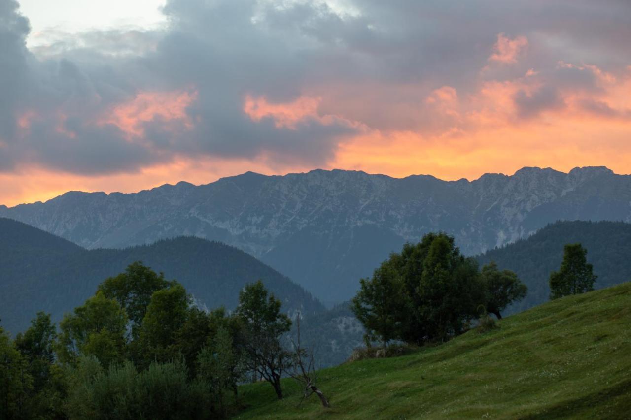 Cabana Colnic Hotel Măgura Buitenkant foto